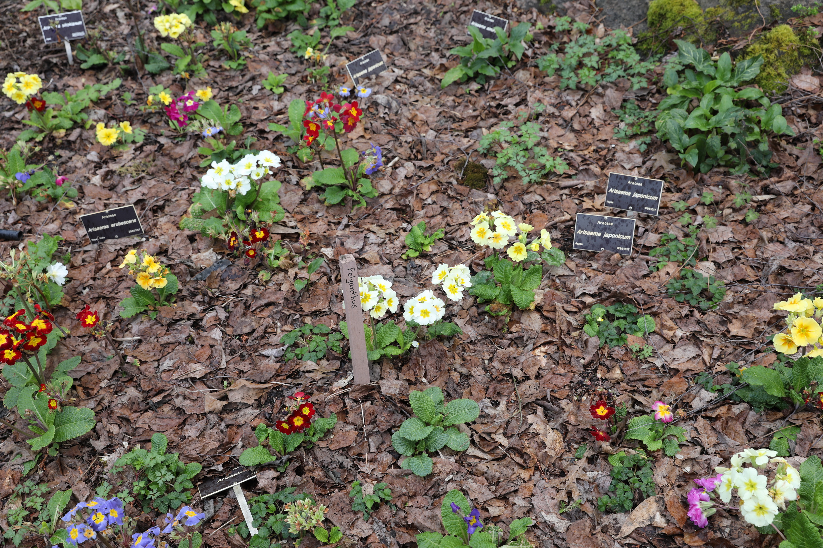 2019 09 21 15 03 10 Canon EOS 5D Mark IV 0006